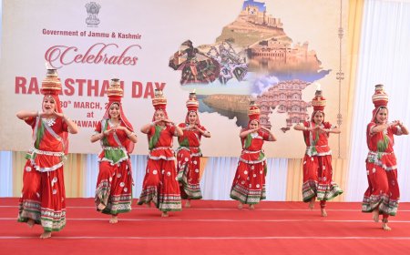 Lieutenant Governor attends Rajasthan Day celebration at Raj Bhawan